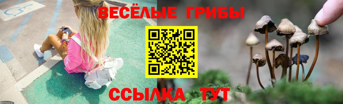 Обь  Галлюциногенные грибы GOLDEN TEACHER  Вход с VPN  Псилоцибиновые грибы Psilocybe 