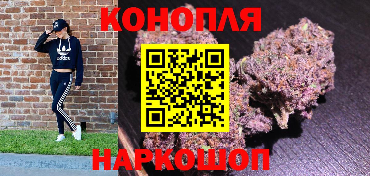 Каннабис гибрид Обь
